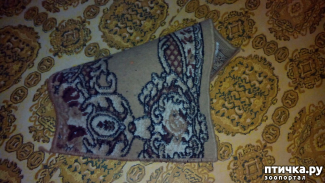 ���� 3: ���, ���, ���, ������, ���� - ������� ���� ������!