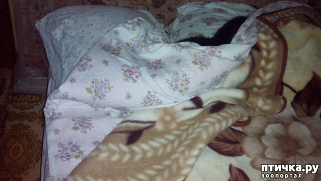 ���� 5: ���, ���, ���, ������, ���� - ������� ���� ������!