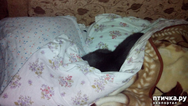 ���� 6: ���, ���, ���, ������, ���� - ������� ���� ������!