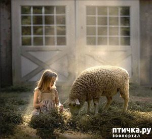 ����: �� ���� ������� � ���������� �� ������������ ������ӻ