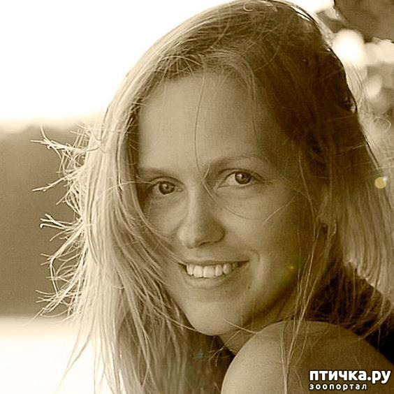 ���� 2: �� ���� ������� � ���������� �� ������������ ������ӻ