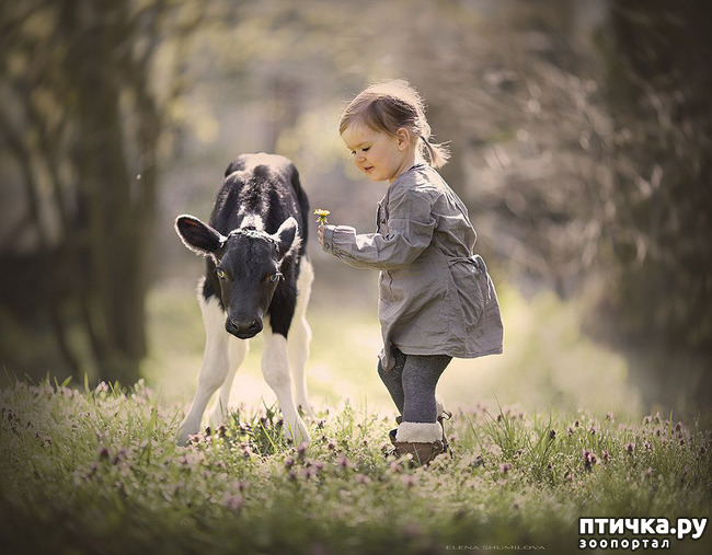 ���� 4: �� ���� ������� � ���������� �� ������������ ������ӻ