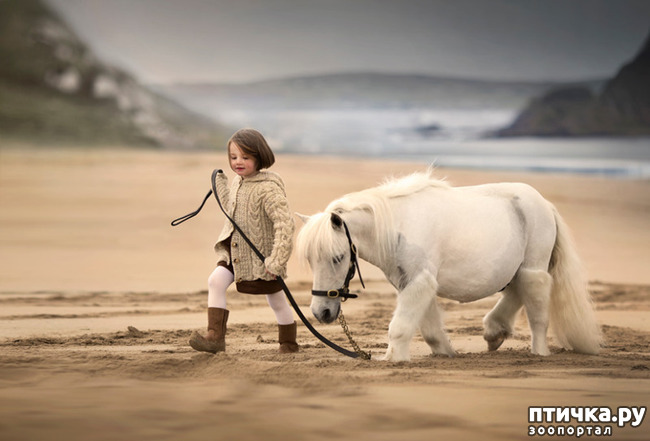 ���� 5: �� ���� ������� � ���������� �� ������������ ������ӻ