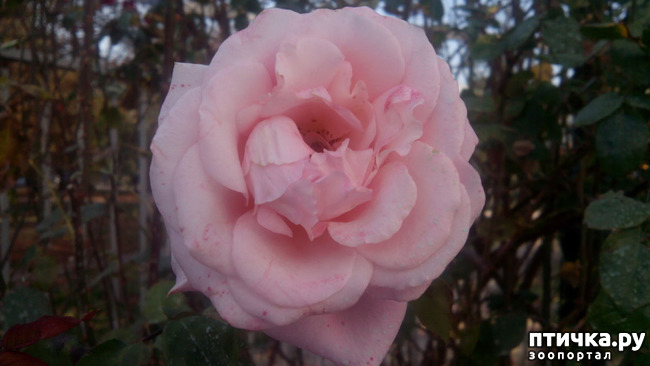 ���� 1: ����������� ��������