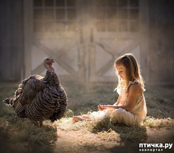 ���� 3: �� ���� ������� � ���������� �� ������������ ������ӻ