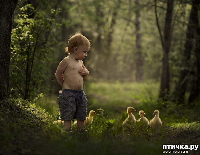 ���� 6: �� ���� ������� � ���������� �� ������������ ������ӻ