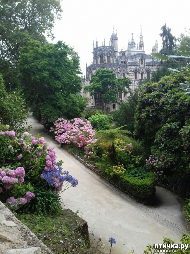 ���� 2: ��������� �����������