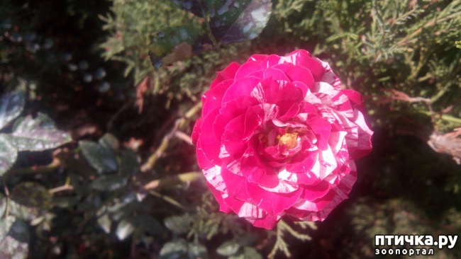 ���� 9: ����������� ��������