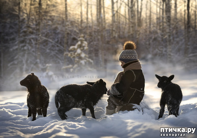 ���� 7: �� ���� ������� � ���������� �� ������������ ������ӻ