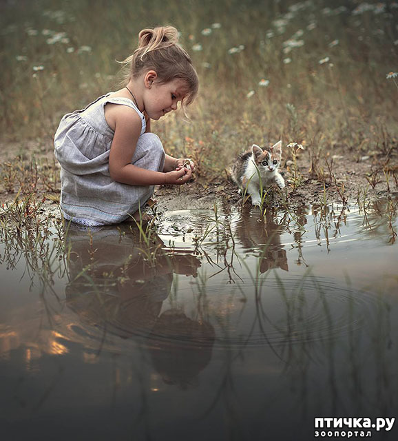 ���� 8: �� ���� ������� � ���������� �� ������������ ������ӻ