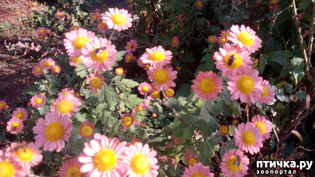 ���� 14: ����������� ��������