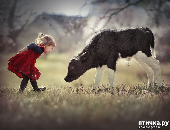 ���� 11: �� ���� ������� � ���������� �� ������������ ������ӻ