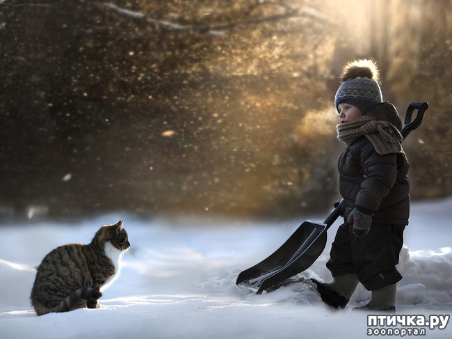 ���� 12: �� ���� ������� � ���������� �� ������������ ������ӻ