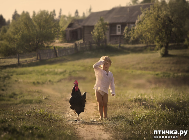 ���� 13: �� ���� ������� � ���������� �� ������������ ������ӻ