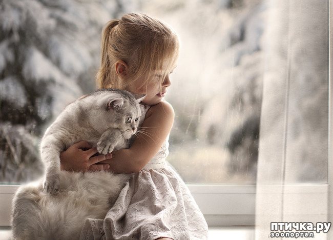 ���� 14: �� ���� ������� � ���������� �� ������������ ������ӻ