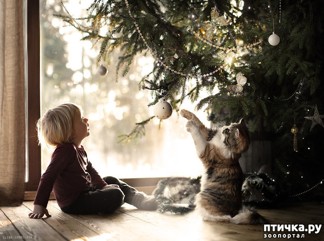 ���� 15: �� ���� ������� � ���������� �� ������������ ������ӻ