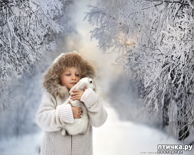 ���� 16: �� ���� ������� � ���������� �� ������������ ������ӻ