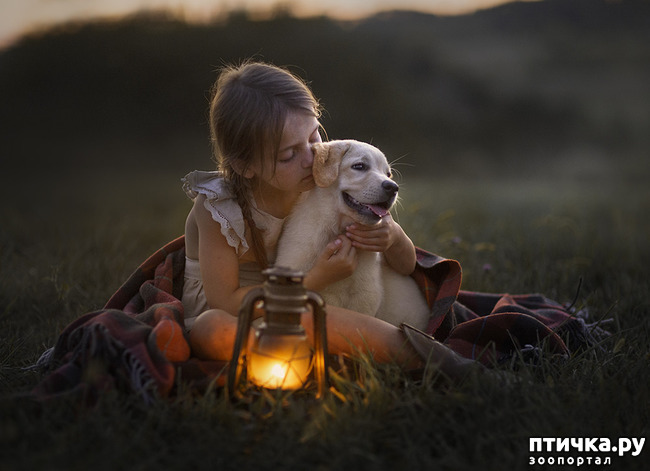 ���� 17: �� ���� ������� � ���������� �� ������������ ������ӻ