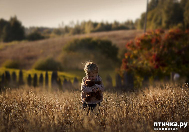 ���� 18: �� ���� ������� � ���������� �� ������������ ������ӻ