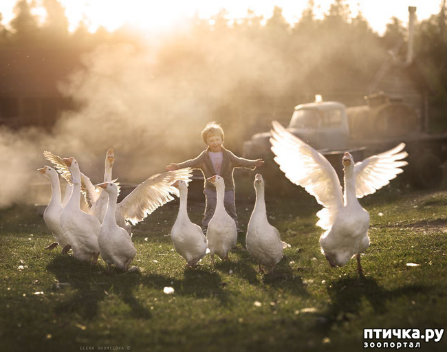 ���� 19: �� ���� ������� � ���������� �� ������������ ������ӻ