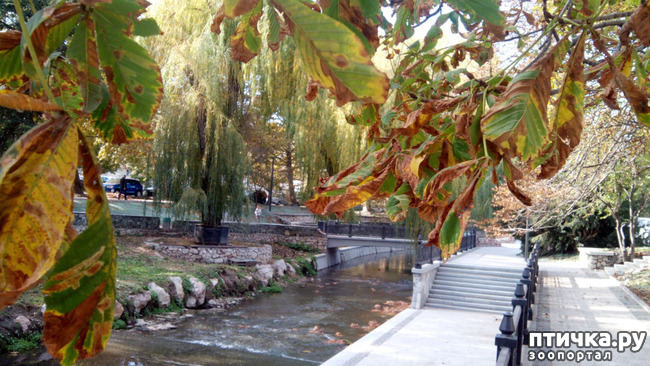 ���� 16: ����������� ��������