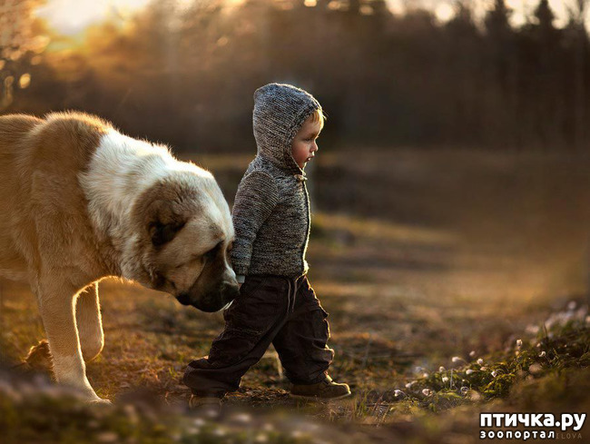 ���� 20: �� ���� ������� � ���������� �� ������������ ������ӻ