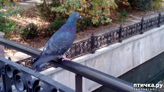 ���� 21: ����������� ��������