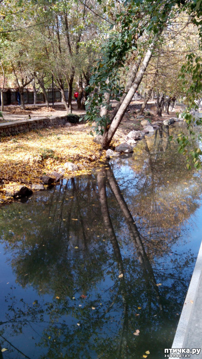 ���� 17: ����������� ��������