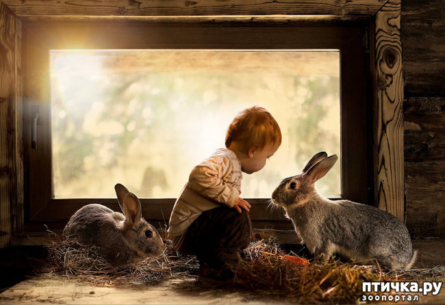 ���� 21: �� ���� ������� � ���������� �� ������������ ������ӻ