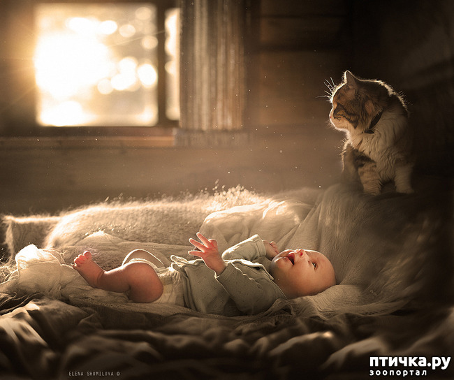 ���� 22: �� ���� ������� � ���������� �� ������������ ������ӻ