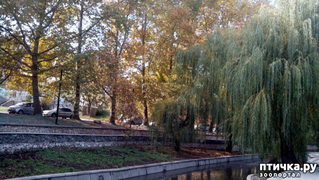 ���� 18: ����������� ��������