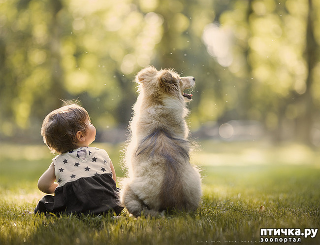 ���� 23: �� ���� ������� � ���������� �� ������������ ������ӻ