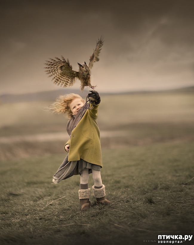 ���� 24: �� ���� ������� � ���������� �� ������������ ������ӻ