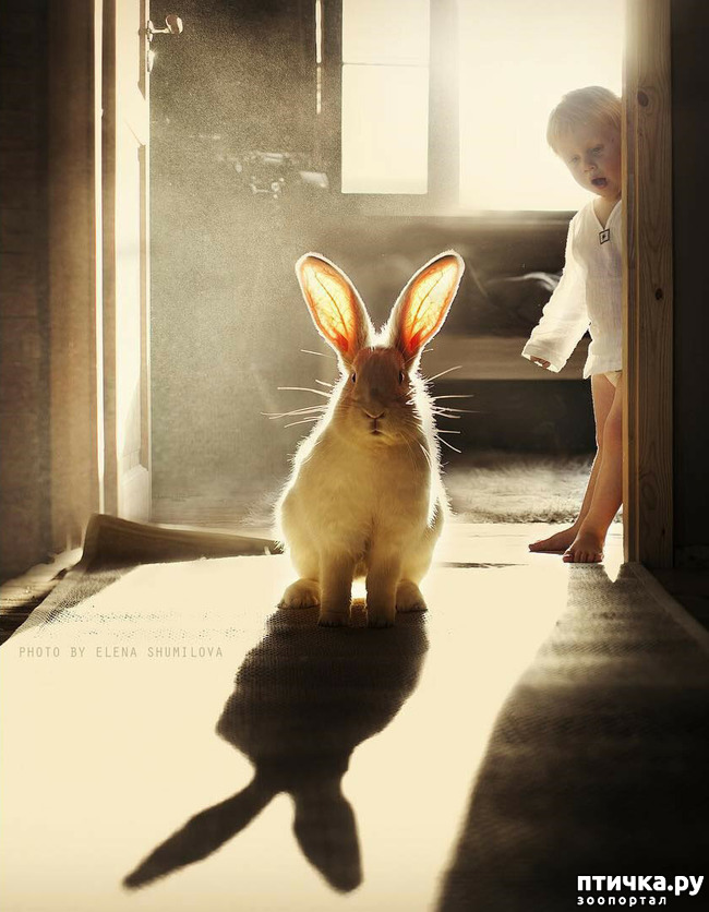 ���� 25: �� ���� ������� � ���������� �� ������������ ������ӻ