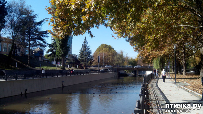 ���� 22: ����������� ��������