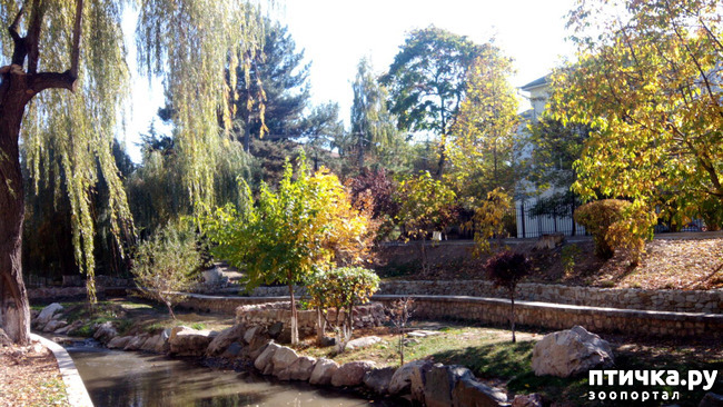 ���� 23: ����������� ��������