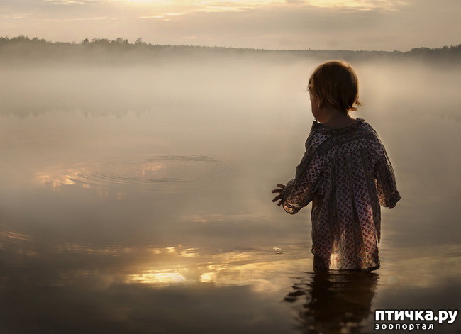 ���� 26: �� ���� ������� � ���������� �� ������������ ������ӻ