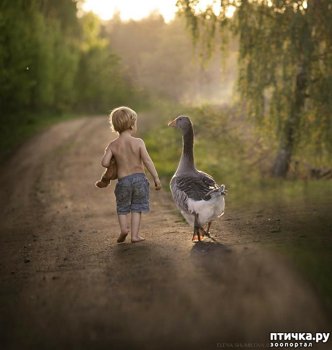 ���� 27: �� ���� ������� � ���������� �� ������������ ������ӻ