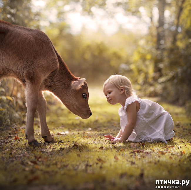 ���� 28: �� ���� ������� � ���������� �� ������������ ������ӻ