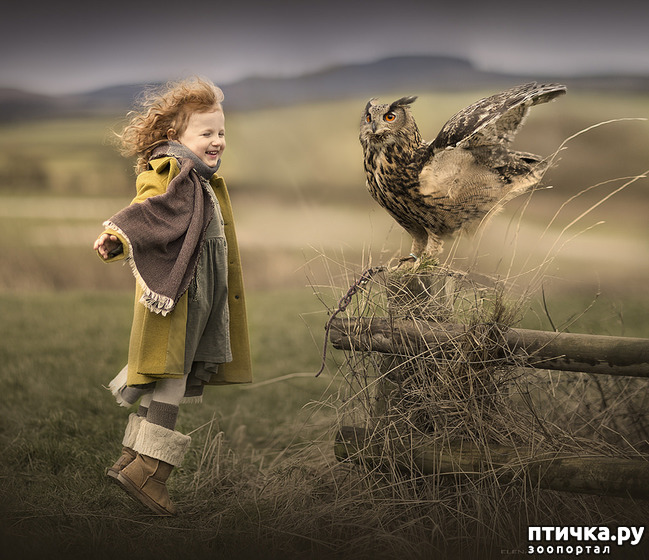 ���� 29: �� ���� ������� � ���������� �� ������������ ������ӻ