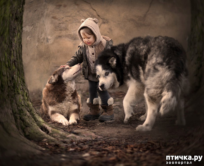 ���� 30: �� ���� ������� � ���������� �� ������������ ������ӻ