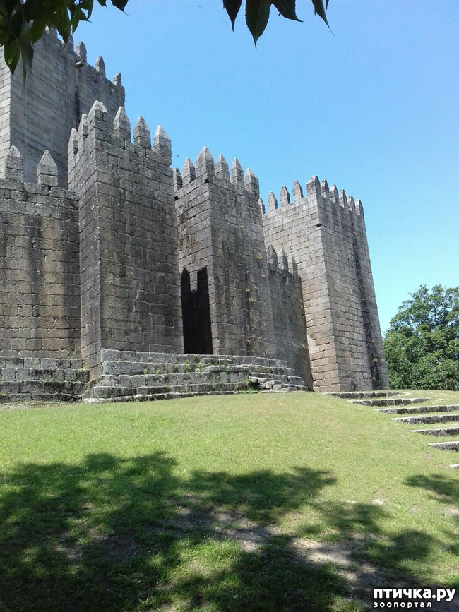 ���� 3: ��������� �����������