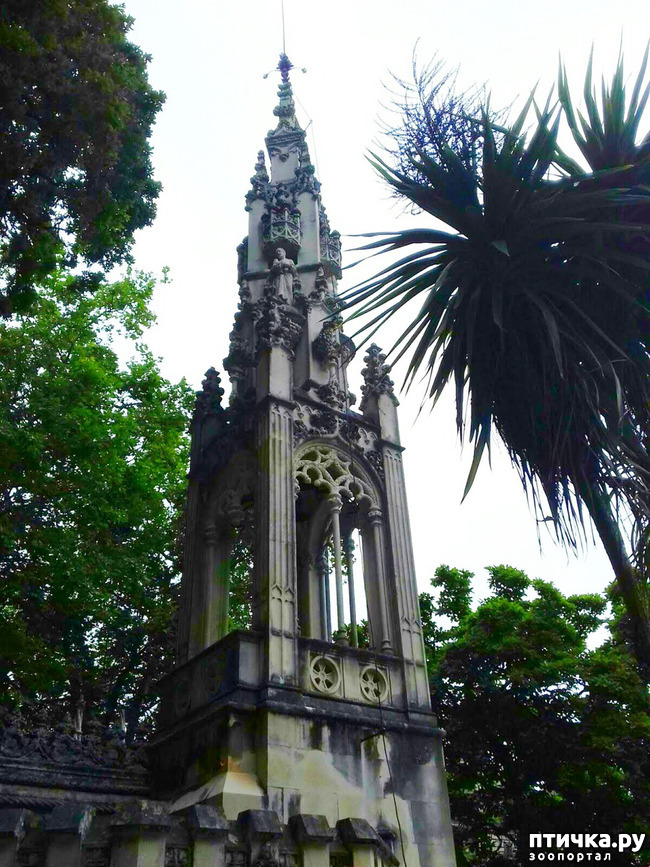 ���� 5: ��������� �����������