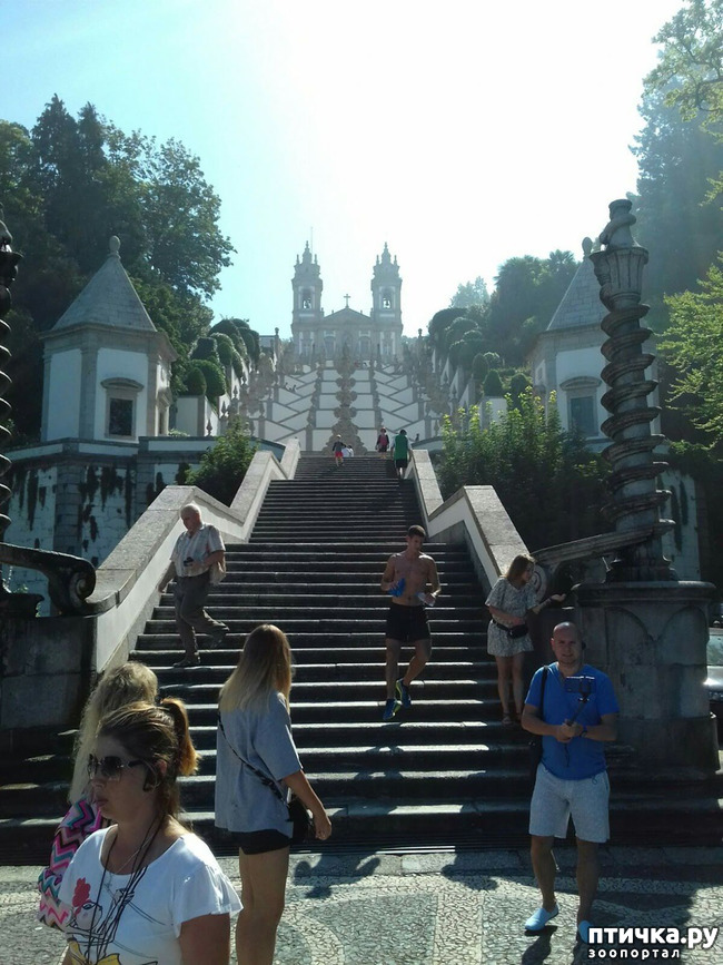 ���� 6: ��������� �����������