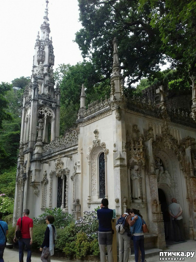 ���� 7: ��������� �����������