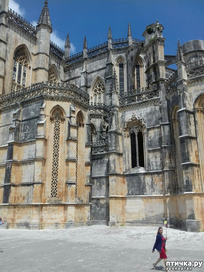 ���� 8: ��������� �����������