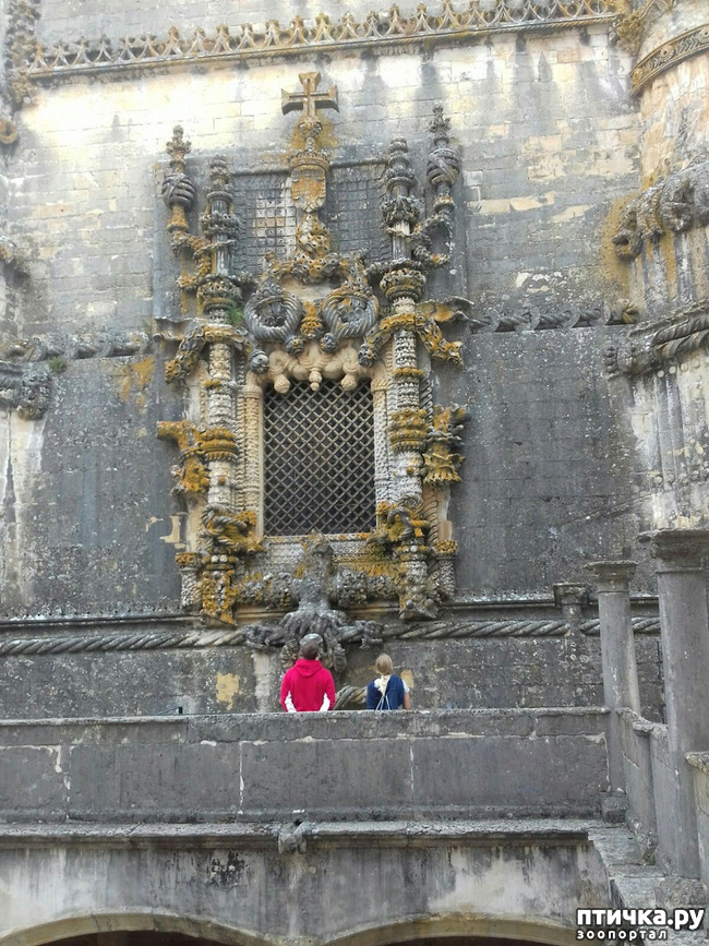 ���� 9: ��������� �����������