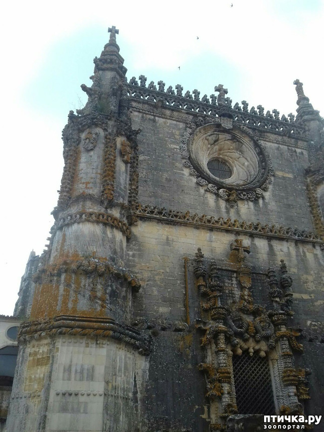 ���� 11: ��������� �����������