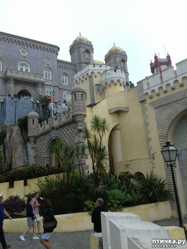 ���� 13: ��������� �����������