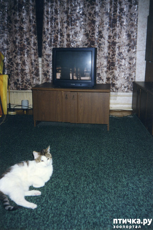 ����: ������ � �����